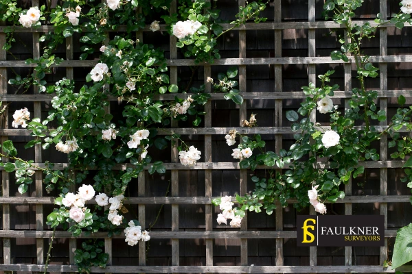 Can I put trellis on my Neighbours garage wall? 2 Do you want to adapt your neighbours garage door and add a trellis Sittingbourne? Talk to Faulkner Surveyor Sittingbourne